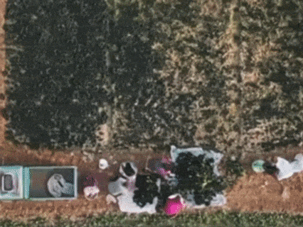 Screenshot 2026-05-24 at 11-36-18 退役女兵靠一株青菜，年卖3个亿！.png