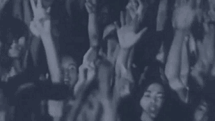 4.gif